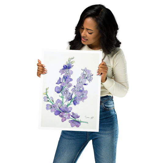 "Larkspur Study", Print of Original Watercolor