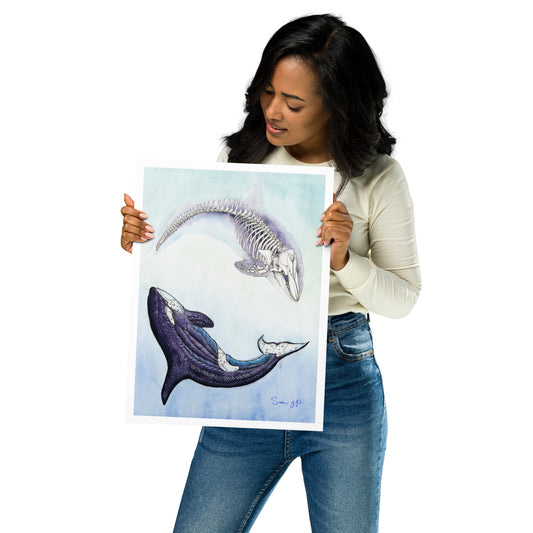 "Orca Study", Print of Original Watercolor
