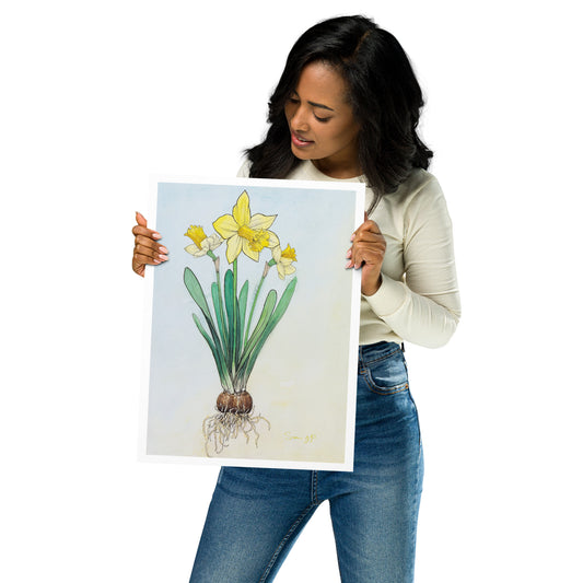 "Daffodil Study", Print of Original Watercolor