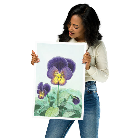 "Viola Northern Lights" Print of Original Watercolor
