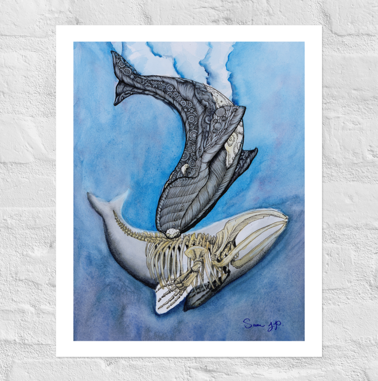 "North Right Whale Study", Print of Original Watercolor