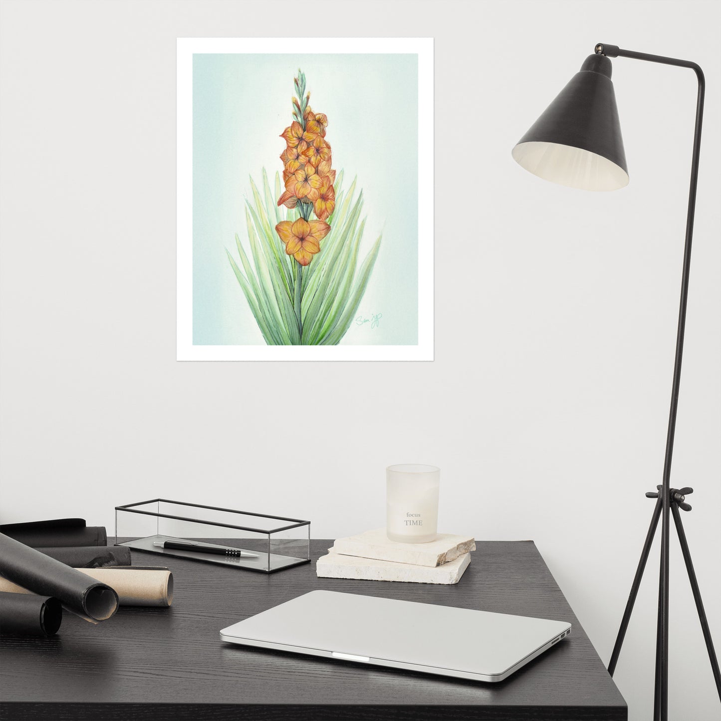 "Gladiolus Study" Print of Original Watercolor and Ink