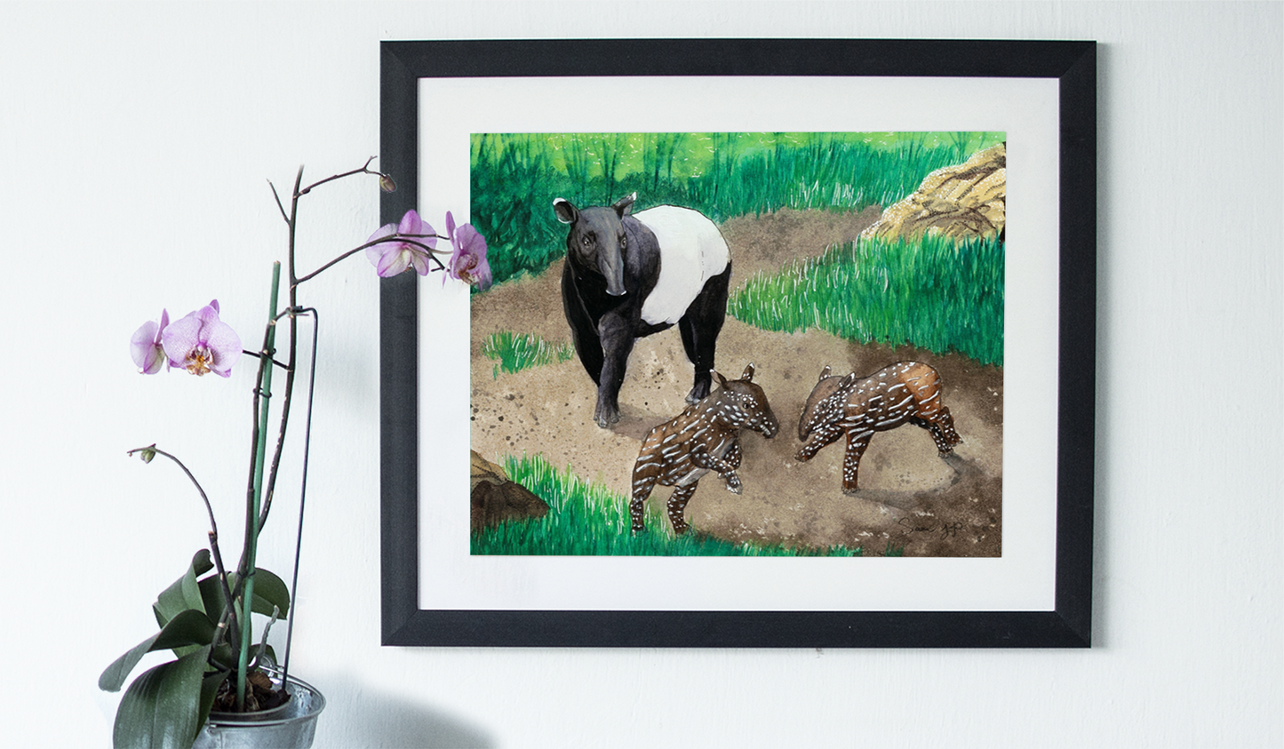 "Malayan Candle" Print of Original Watercolor