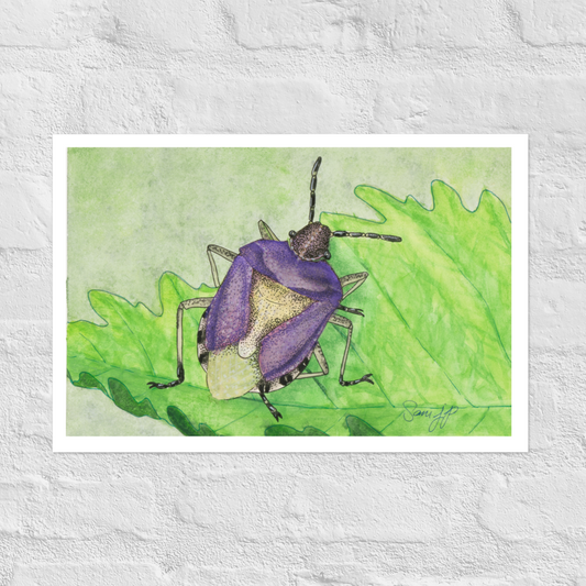 "Mauve" Print of Original Watercolor