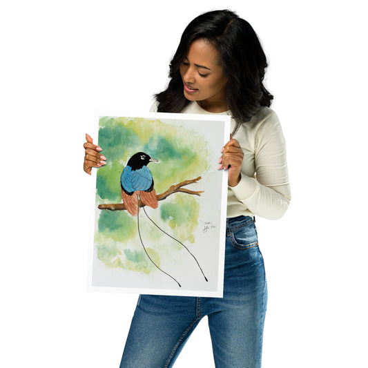 "Teal Plume", Print of Original Watercolor