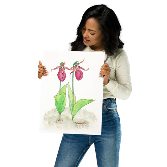 "Pink Lady Slipper Study" Print of Original Watercolor