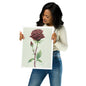 "Rose Study" Print of Original Watercolor