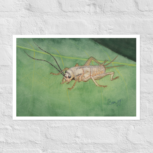 "Quotidian" Print of Original Watercolor