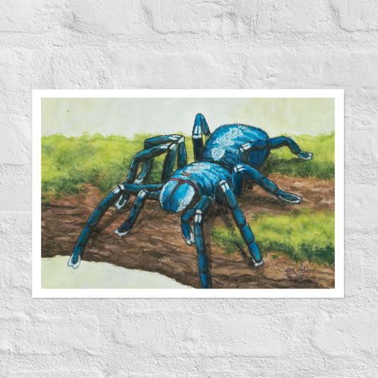 "Villus" Print of Original Watercolor