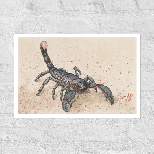 "Nacreous" Print of Original Watercolor