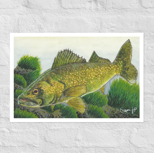 "Ope" Print of Original Watercolor
