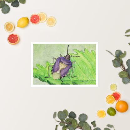 "Mauve" Print of Original Watercolor