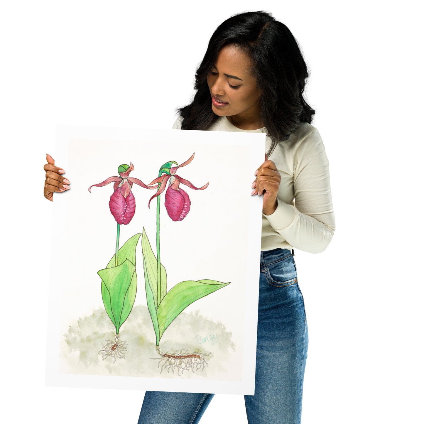 "Pink Lady Slipper Study" Print of Original Watercolor
