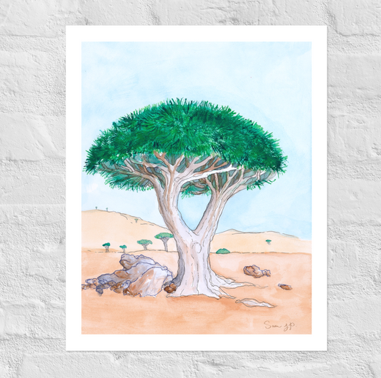 "Dragon Blood Tree", Print of Original Watercolor