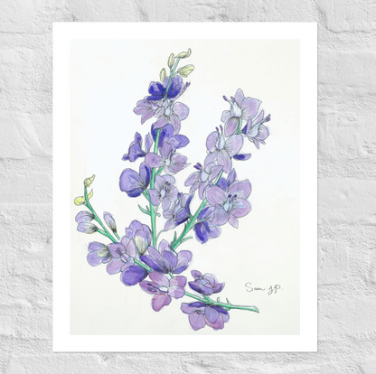"Larkspur Study", Print of Original Watercolor
