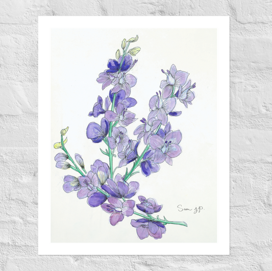 "Larkspur Study", Print of Original Watercolor