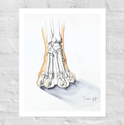 "Feline Paw Study", Print of Original Watercolor