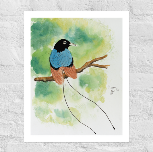 "Teal Plume", Print of Original Watercolor