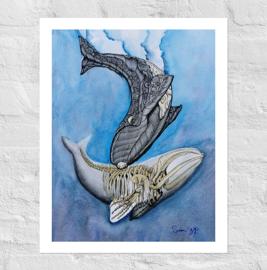 "North Right Whale Study", Print of Original Watercolor