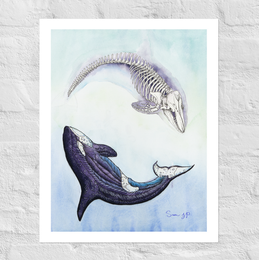 "Orca Study", Print of Original Watercolor