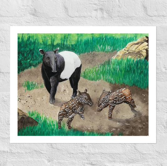 "Malayan Candle" Print of Original Watercolor